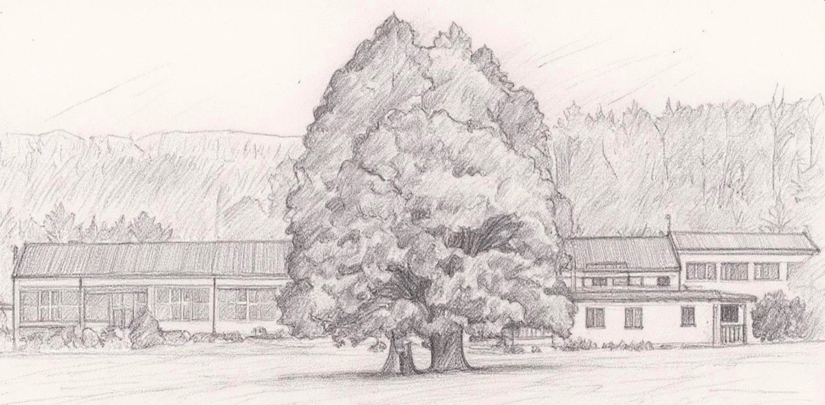 Stacks Image 7
