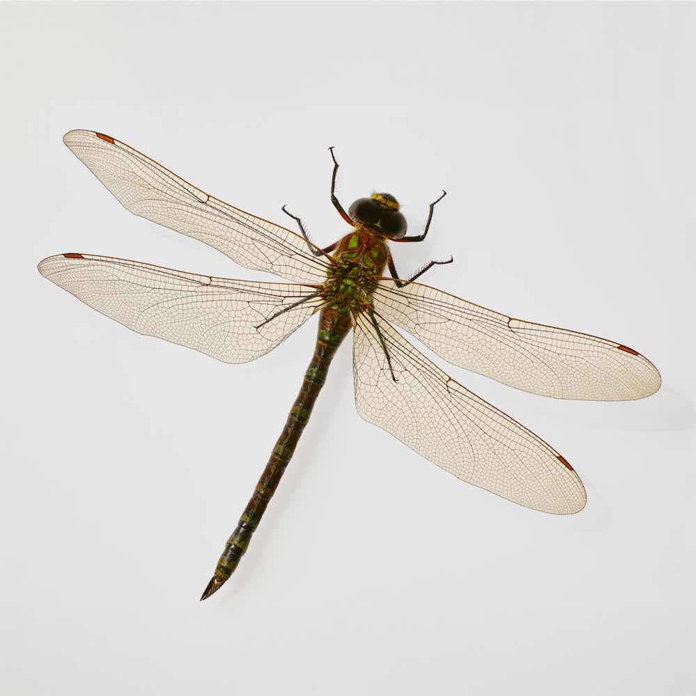 Borgemeister_Fotografie_Content24