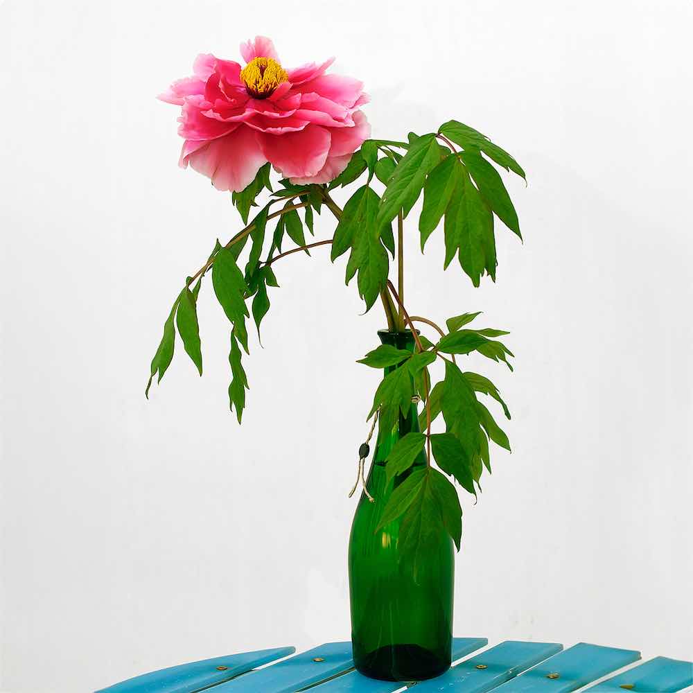 Borgemeister_Fotografie_Content26