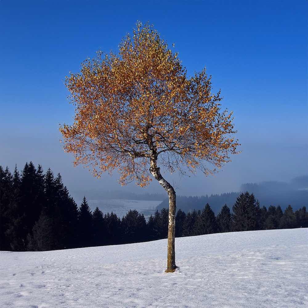 Borgemeister_Fotografie_Content33