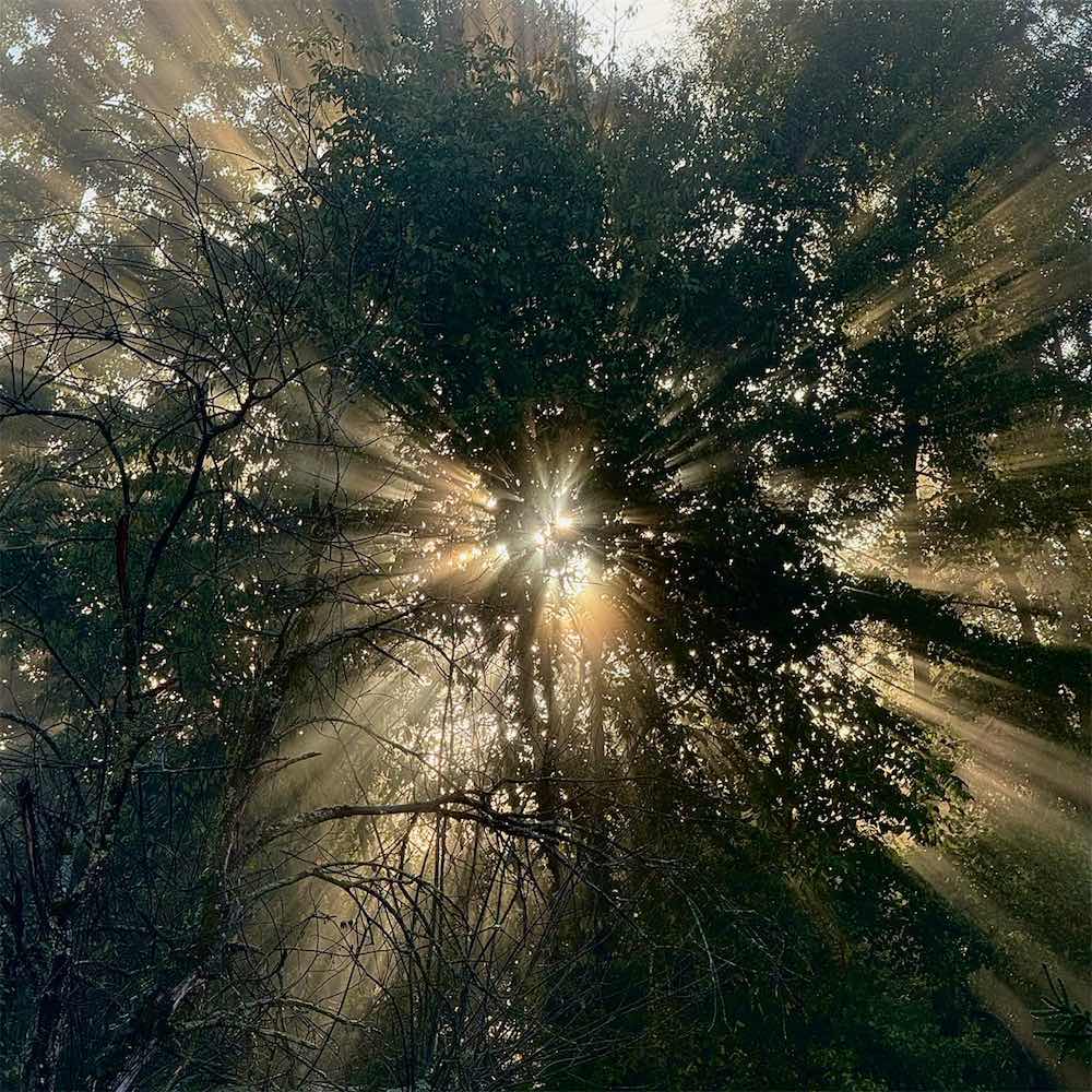 Borgemeister_Fotografie_Content64