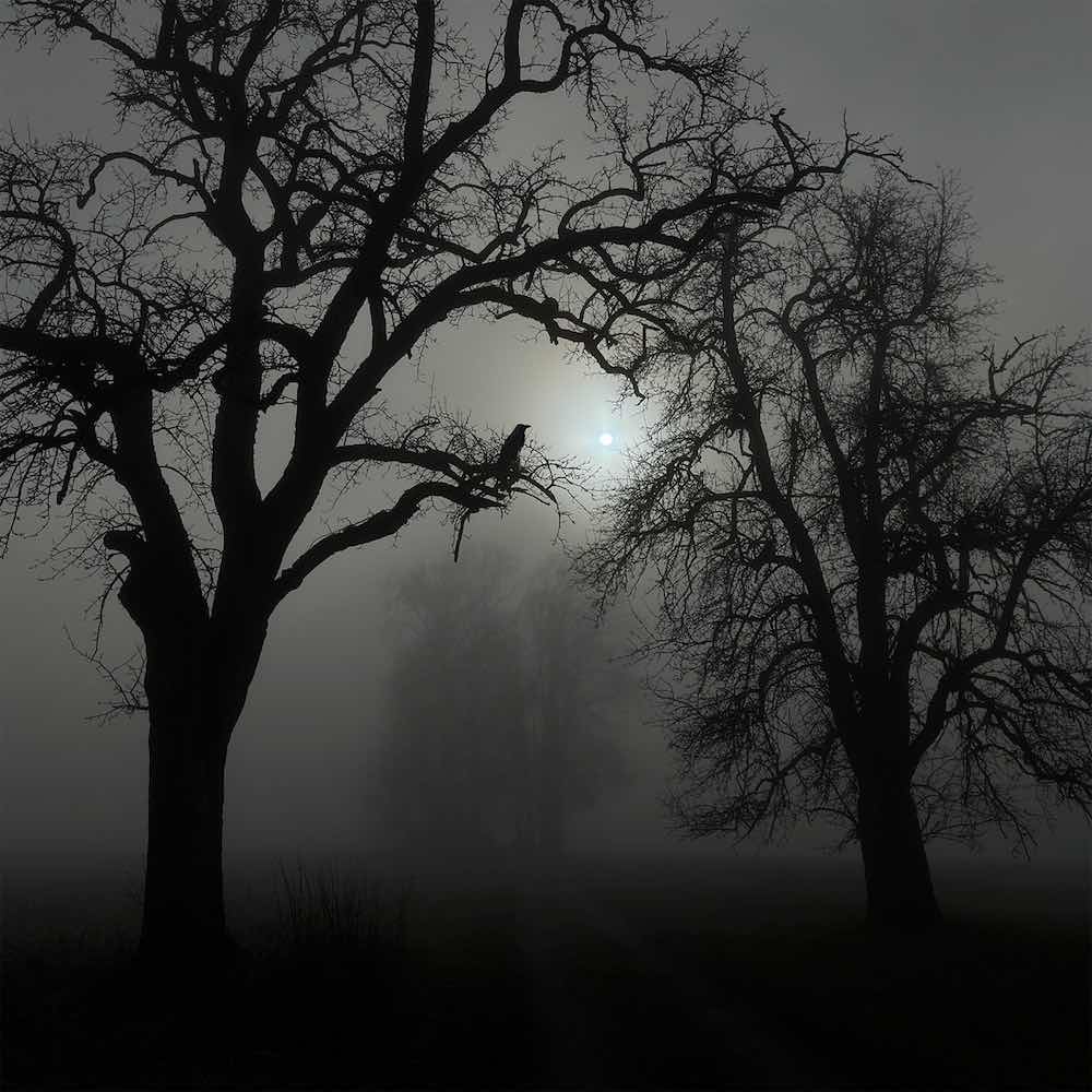 Borgemeister_Fotografie_Content67