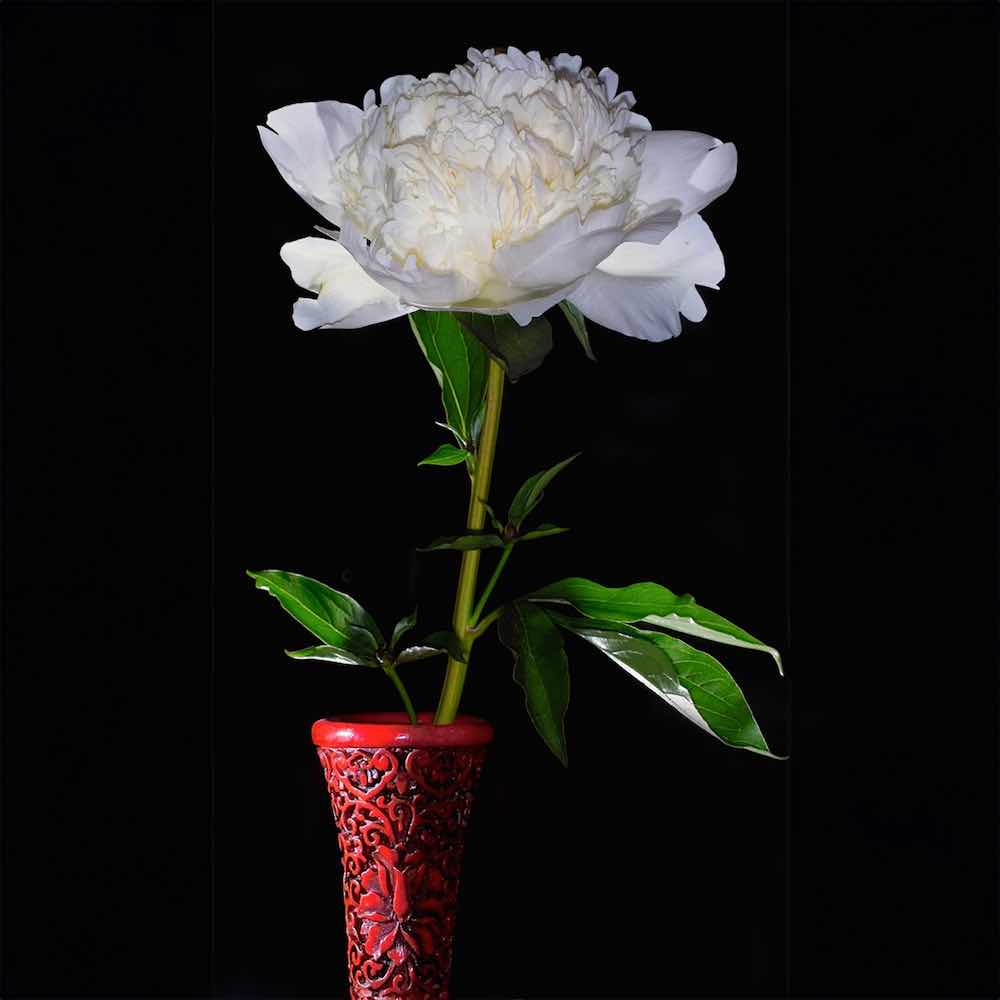 Borgemeister_Fotografie_Content68