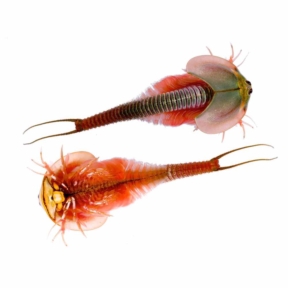 Borgemeister_Fotografie_Content77